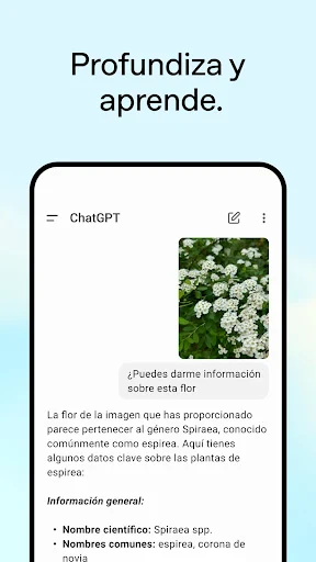 ChatGPT screenshot
