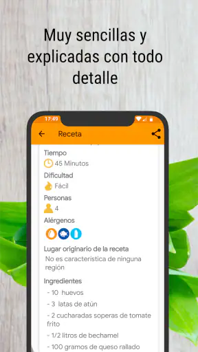 Cocina tradicional (Recetas ca screenshot