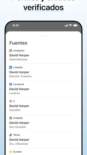 Deepsearch AI Search Assistant screenshot