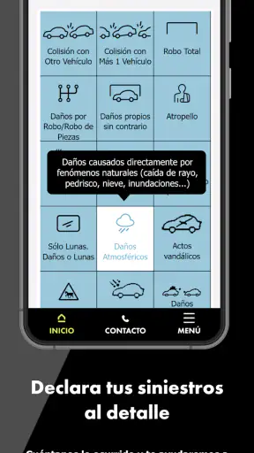 Direct Seguros screenshot