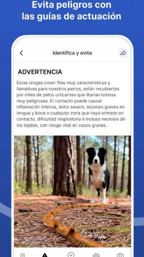 Doguify: petfriendly y alertas screenshot