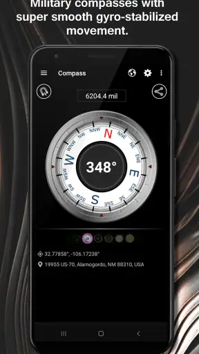 DS Compass screenshot