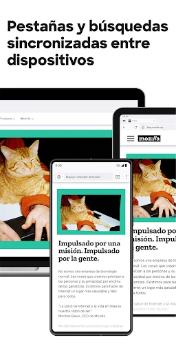 Firefox: navegador privado screenshot