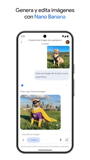 Google Gemini screenshot