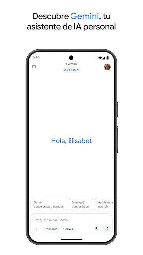 Google Gemini screenshot