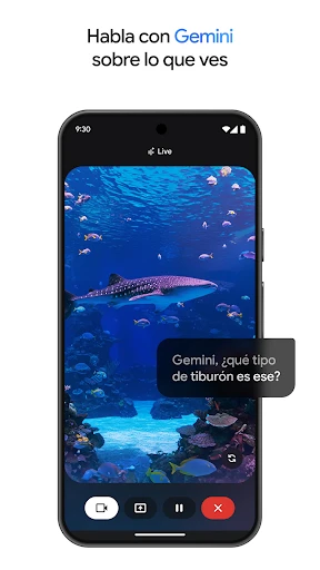 Google Gemini screenshot