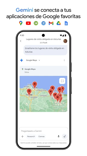 Google Gemini screenshot