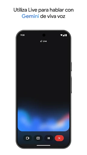 Google Gemini screenshot