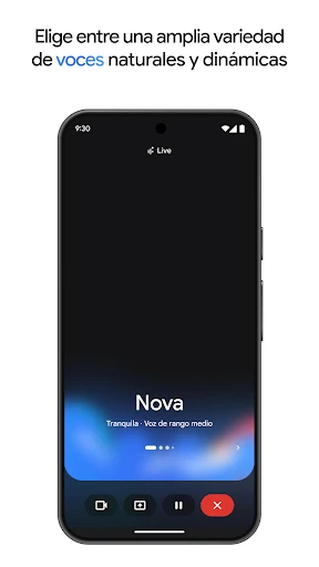 Google Gemini screenshot