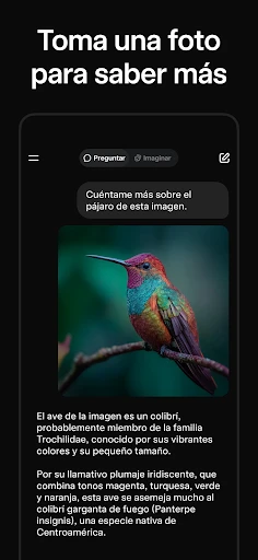 Grok - Asistente de IA screenshot