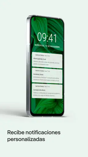 Iberdrola Clientes screenshot