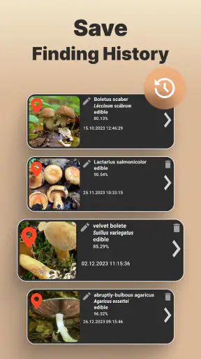 Identificador de Hongos screenshot