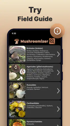 Identificador de Hongos screenshot