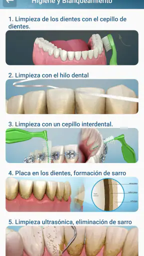 Ilustraciones dentales screenshot
