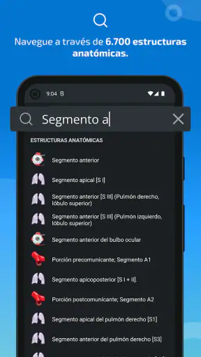 IMAIOS e-Anatomy screenshot