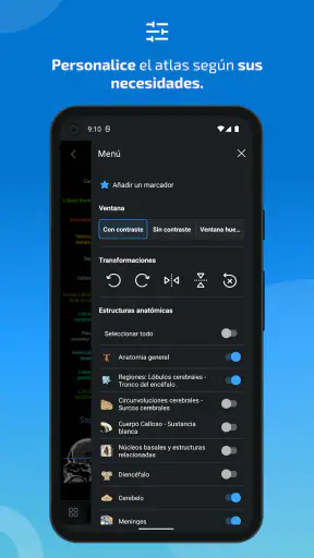 IMAIOS e-Anatomy screenshot