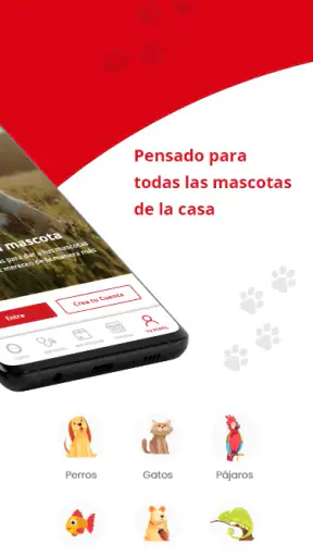 Kiwoko screenshot