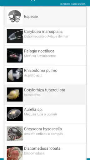 MedusApp screenshot