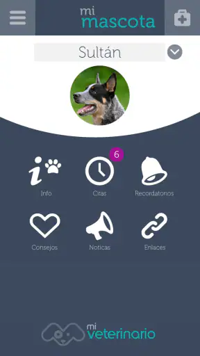Mi Veterinario screenshot