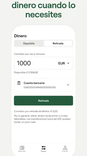 Mintos screenshot