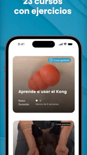 Mister Cooper – Dog Trainer screenshot