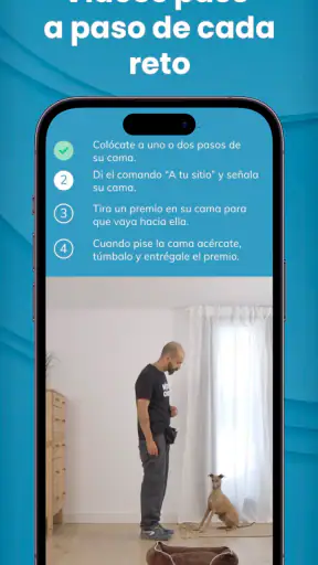Mister Cooper – Dog Trainer screenshot