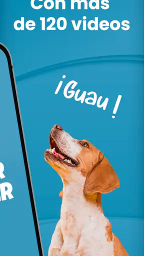Mister Cooper – Dog Trainer screenshot