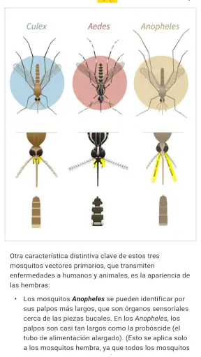 Mosquito Alert screenshot