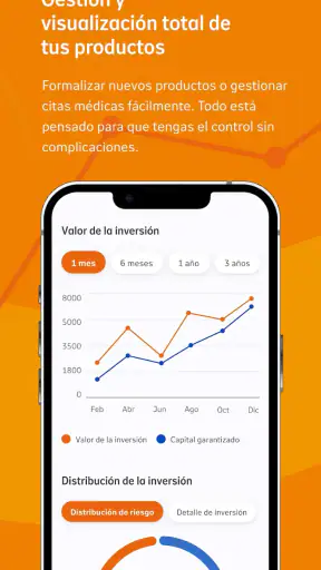 Nationale-Nederlanden España screenshot