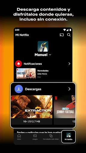 Netflix screenshot