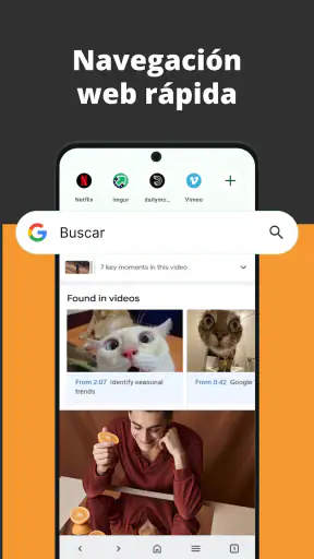 Navegador de vídeo screenshot