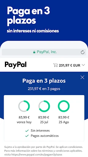 PayPal screenshot