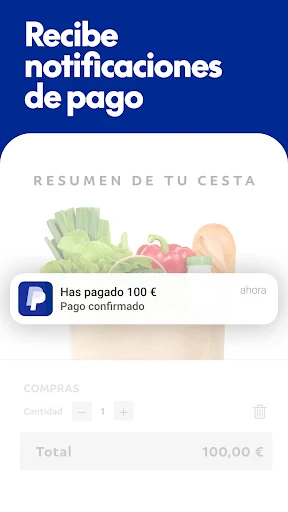 PayPal screenshot