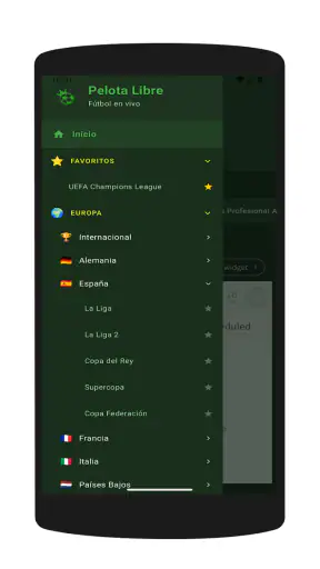 Pelota Libre screenshot