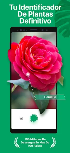 PictureThis Identificar Planta screenshot
