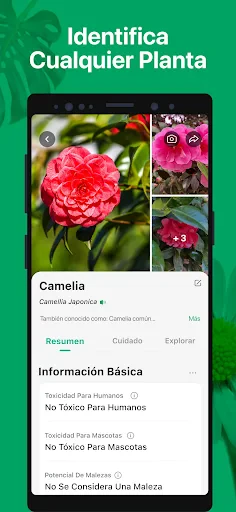 PictureThis Identificar Planta screenshot