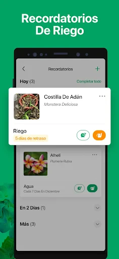PictureThis Identificar Planta screenshot