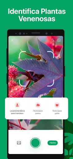 PictureThis Identificar Planta screenshot