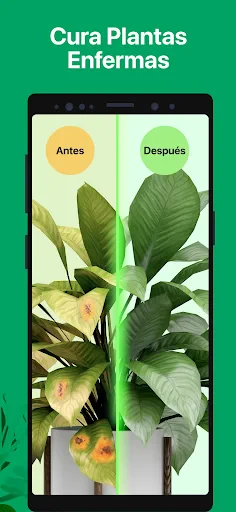 PictureThis Identificar Planta screenshot