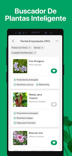 PictureThis Identificar Planta screenshot