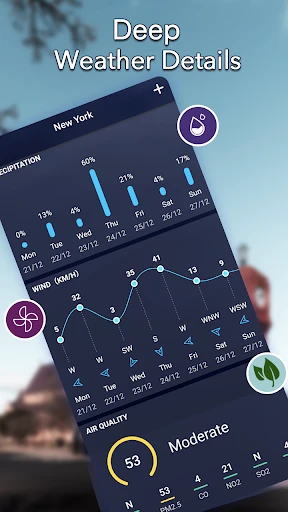 Previsión meteorológica local screenshot