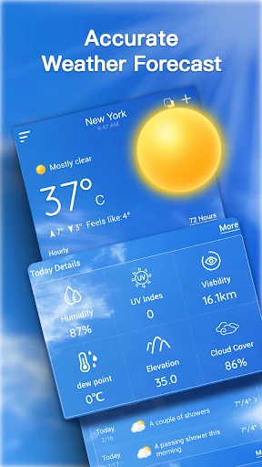 Pronóstico del tiempo en vivo screenshot