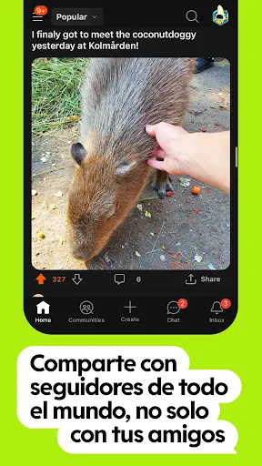 Reddit screenshot