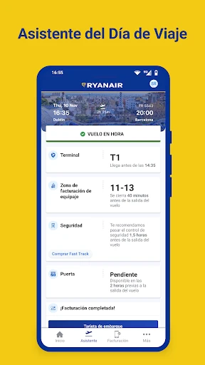 Ryanair screenshot