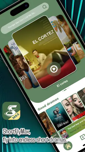 ShortFly Max screenshot