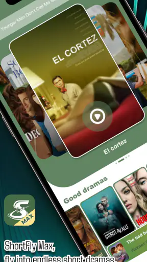 ShortFly Max screenshot