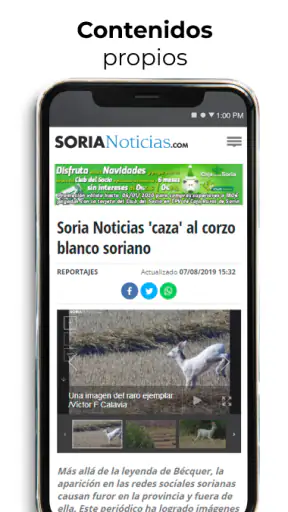Soria Noticias: Diario Digital screenshot