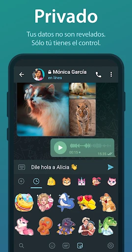 Telegram screenshot