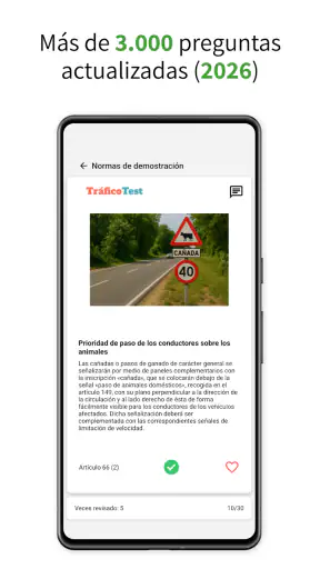 Test de conducir - TraficoTest screenshot