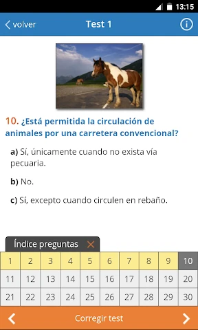 Todotest: Test de conducir screenshot